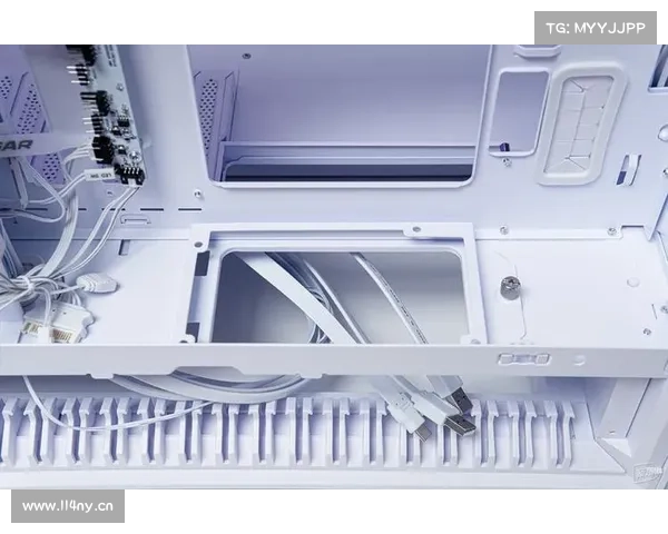 三面摆放,“真“”显卡竖装,骨伽双擎OmnyX机箱装机展示 三面摆放,“真“”显卡竖装,骨伽双擎OmnyX机箱装机展示