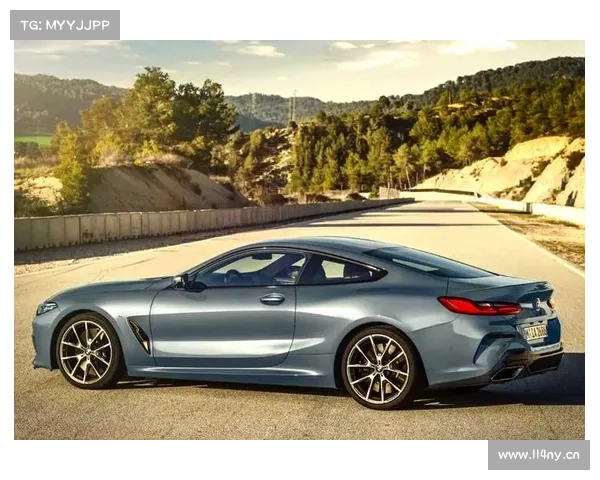 今年，宝马将推出8系特别版